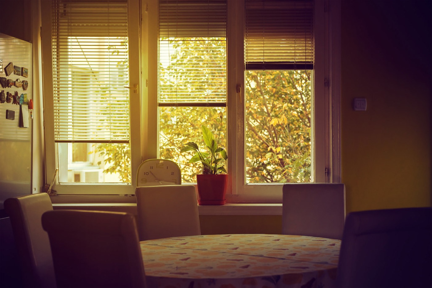A dining room table in a family home